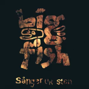 Sånger ur sten (Vinyl LP)