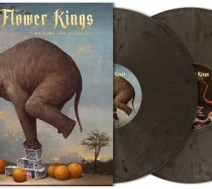 Waiting For Miracles (2 LP Blade Bullet Vinyl)