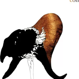Black Antlers