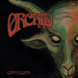Capricorn (2 LP Vinyl)