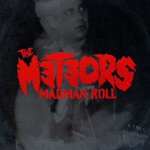 Madman Roll (Black Vinyl LP)
