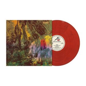 Thought Form Descent (Red Marbled Vinyl LP)