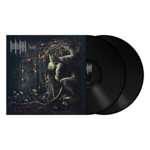 Kinship (2 LP Black Vinyl)