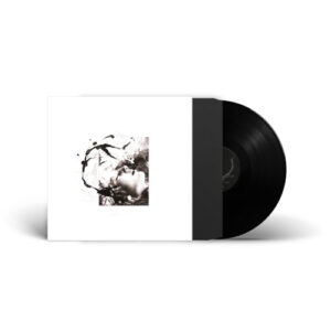 Airut: Aamujen (Vinyl LP)