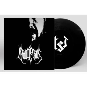 Audial Representation Of Misery And Despair (Vinyl