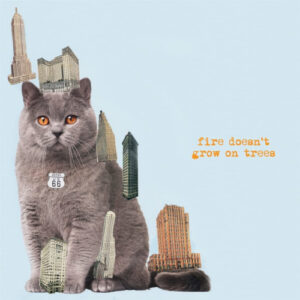 Fire Dosen't Grow On Trees (Vinyl LP)