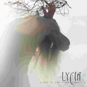 A day in the stark corner (2lp)