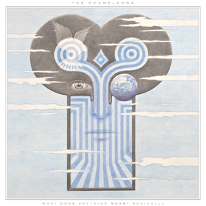 What Does Anything Mean? Basically (Vinyl LP)