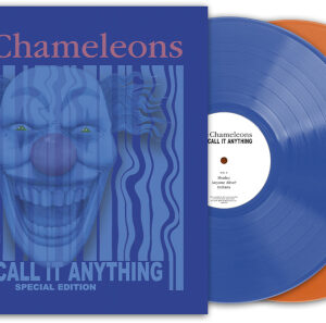 Why Call it Anything (2 LP Blue/Orange Vinyl)