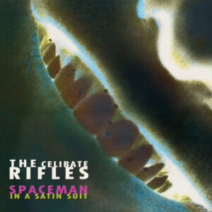 Spaceman In a Satin Suit (Vinyl LP)