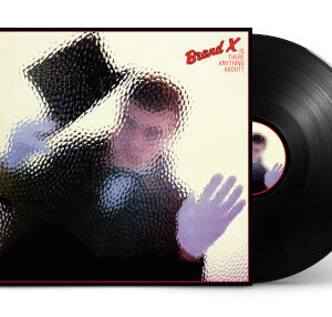 Is There Anything About? (Vinyl LP)