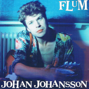 Flum (2 LP Black Vinyl)
