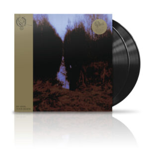 My Arms, Your Hearse (2 LP Vinyl)