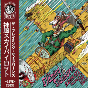 Kamikaze Sky Pilots (10" Green Coke Vinyl)