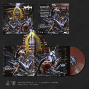 Here In After (Pop-Up Brown Vinyl LP)