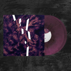 Rien Ne Suffit (Purple/Black Vinyl 2 LP)