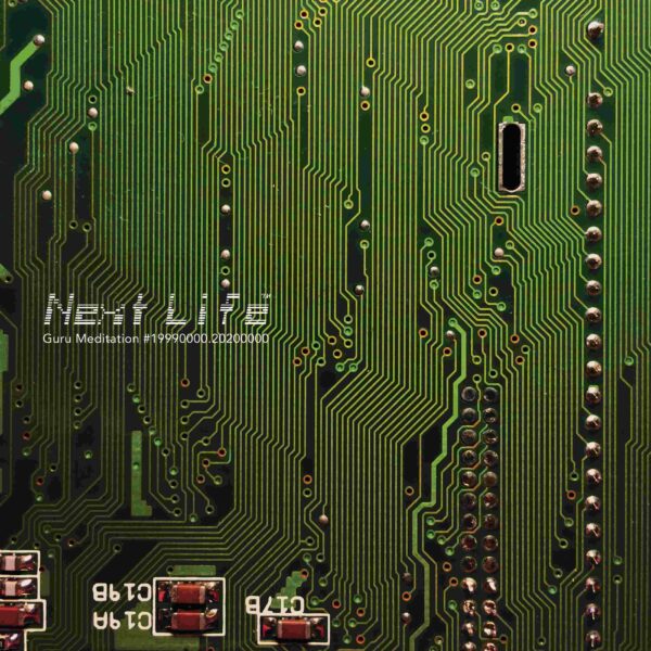 Guru Meditation (Vinyl)