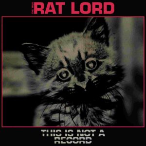 This Is Not A Record (Vinyl LP)