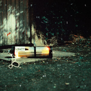 Vestli (Vinyl LP)