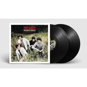 Pop Stars in Disguise (2 LP Vinyl)
