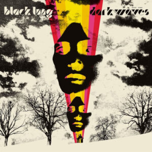 Dark Waves