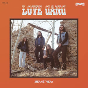 Meanstreak (Vinyl LP)