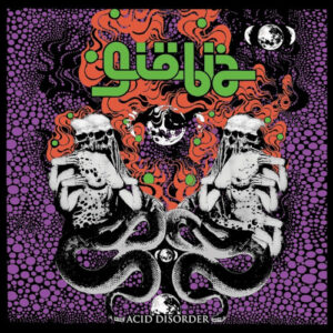 Acid Disorder (Vinyl LP)