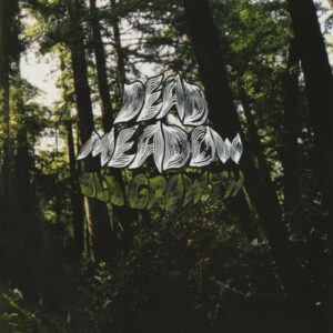 Old Growth (2 LP Vinyl)