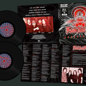 Accelerator (Black Vinyl 2 LP)