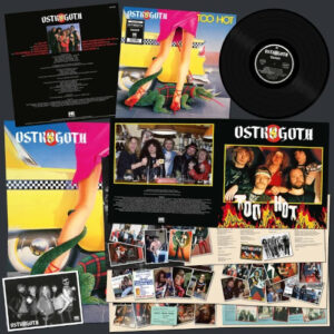Too Hot (Vinyl LP)