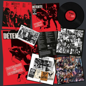 Recognize No Authority (Vinyl LP)
