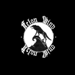 Felon Wind (10" Vinyl)