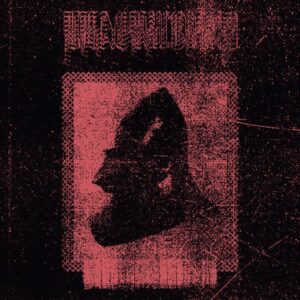 Warping Structures (Pink Vinyl)