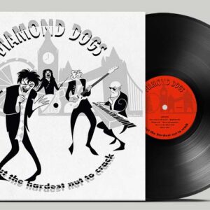 About The Hardest Nut To Crack (Black Vinyl)