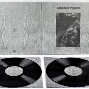 Steineiche (2 LP Vinyl)