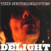 Guided By Delight