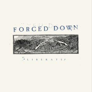 Liberate (Cloudy Clear Vinyl LP)