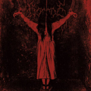 Y ( 2 LP Vinyl)