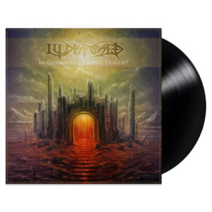 In Chambers Of Sonic Disgust (Vinyl LP)