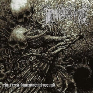 Extra Dimensional Wound The (2 LP Splatter Vinyl)