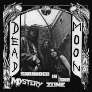 Stranded In The Mystery Zone (Vinyl LP)