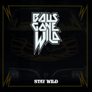 Stay Wild (Vinyl LP)