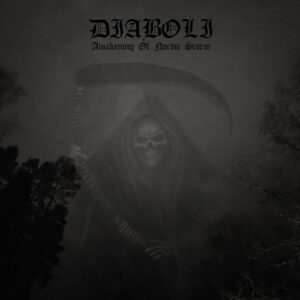 Awakening of Nordic Storm (Vinyl LP)