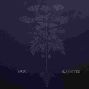 Skarntyde (Vinyl LP)