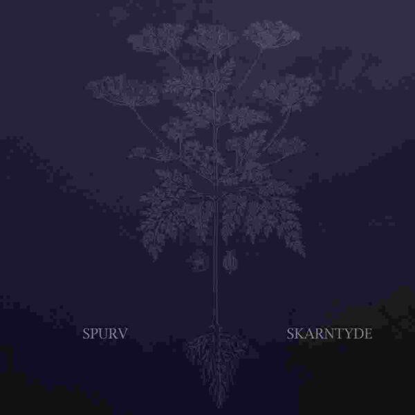 Skarntyde (Vinyl LP)
