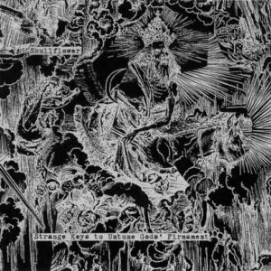 Strange Keys to Untune Gods Fi (2 CD)