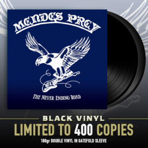 Never Ending Road The (2 LP Black Vinyl)