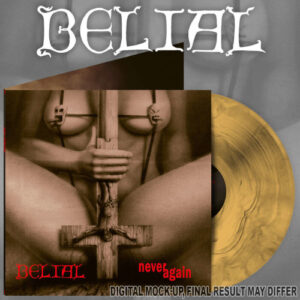 Never Again (Galaxy Vinyl LP)