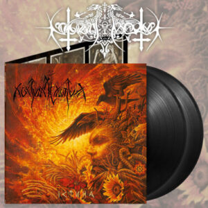 Verity Ictnha (2 LP Vinyl)
