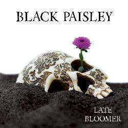 Late Bloomer